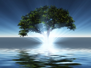 Surreal digital art. Green tree grows from the water. 3D rendering