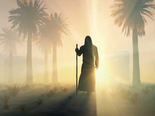 wandering monk at sunrise