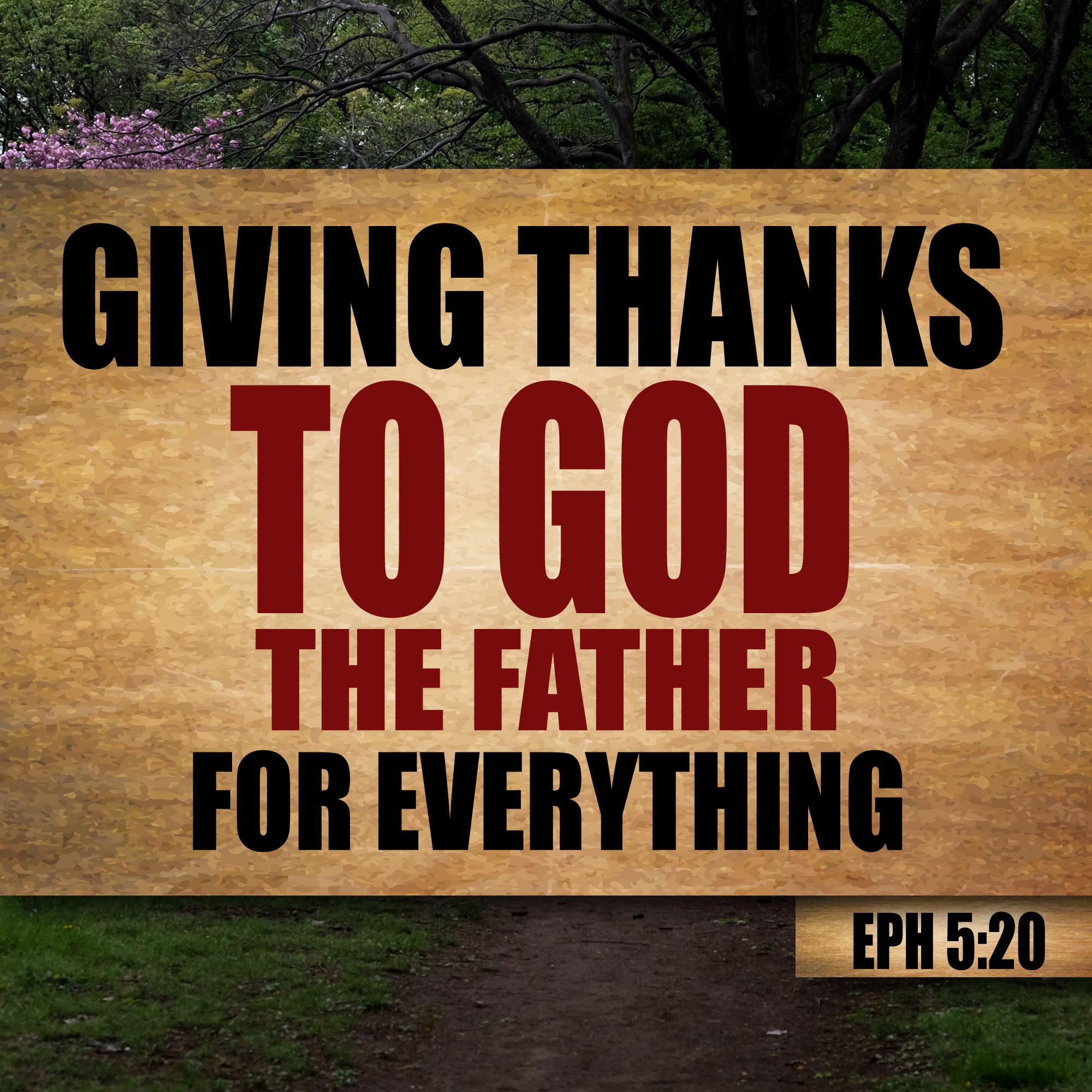 Thanksgiving Ephesians 5:20 Giving thanks to God the Father for everything.